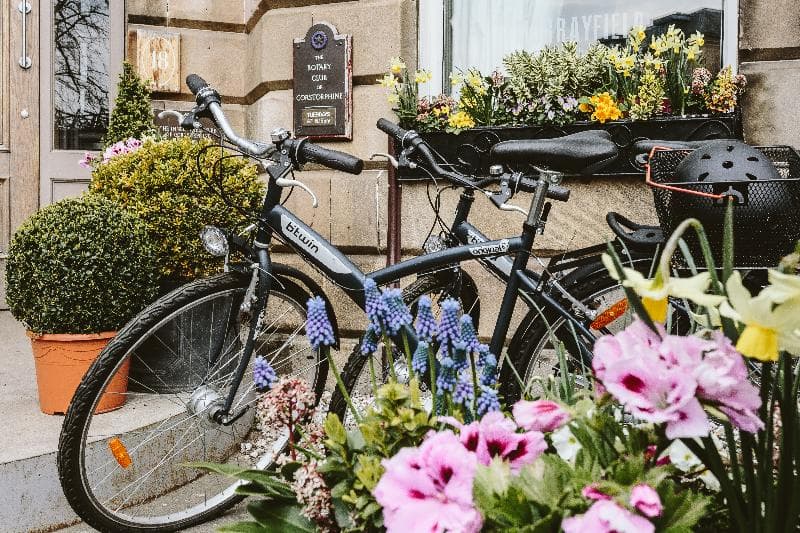 Murrayfield Hotel & Lodge 2