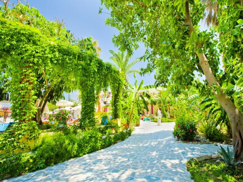 Apollon Hotel 4