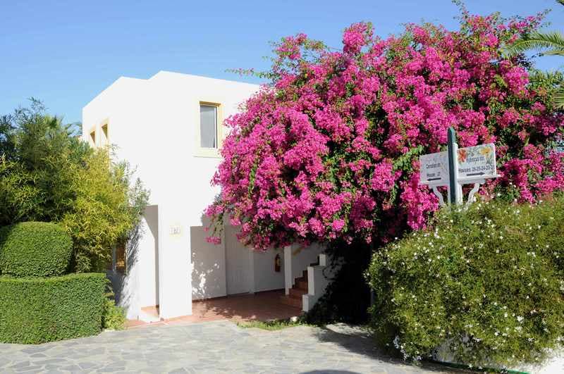Mastichari Bay Hotel & Family Suites 3