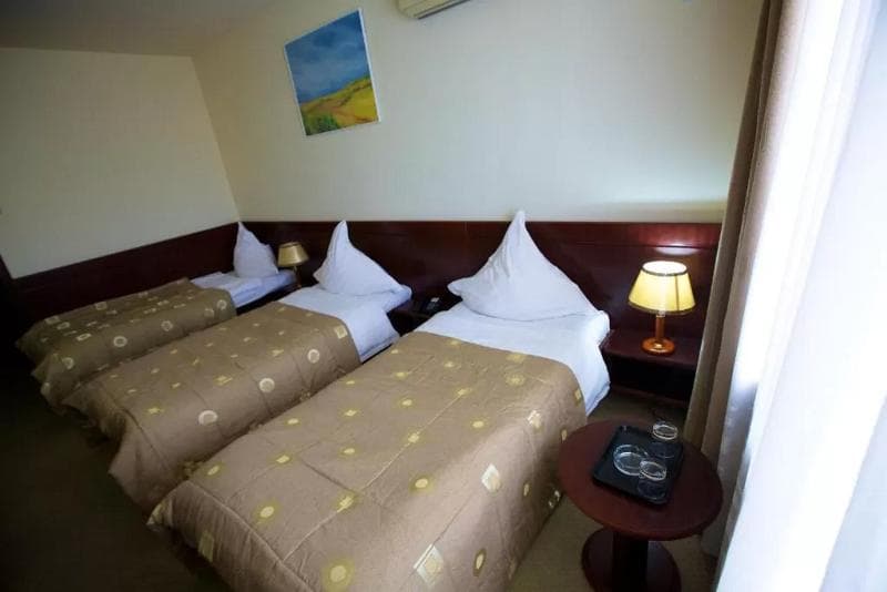 Hotel Delta 3* 3