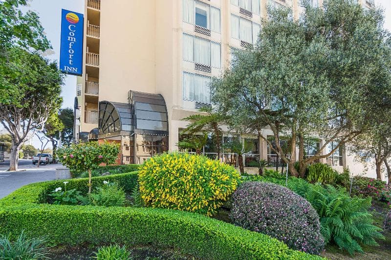 Comfort Inn by the Bay 5