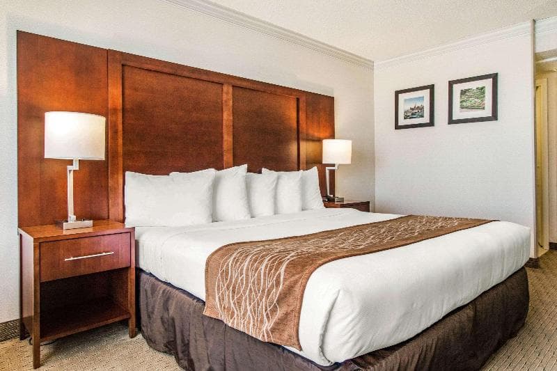 Comfort Inn by the Bay 3