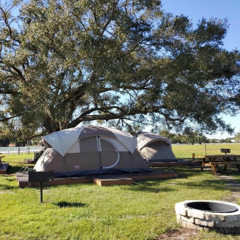 Westgate River Ranch Resort & Rodeo 5
