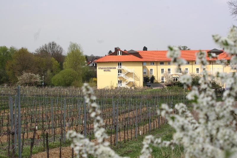 MAXX by Steigenberger Deidesheim 2