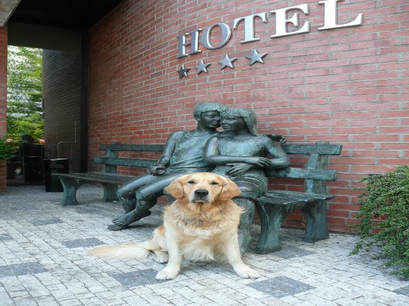 Hotel Expo 4