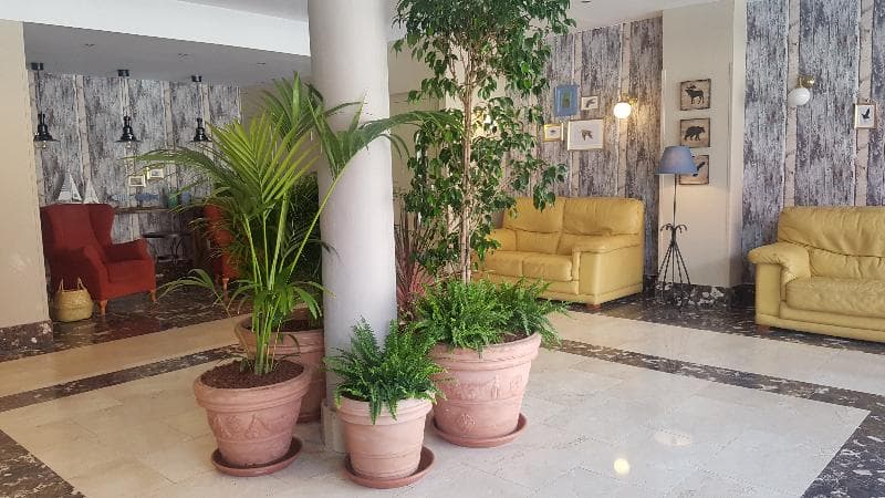 Hotel Arcea Villaviciosa 4