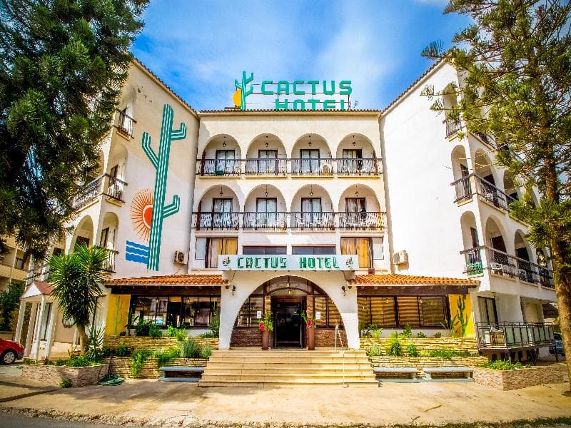 Cactus 2