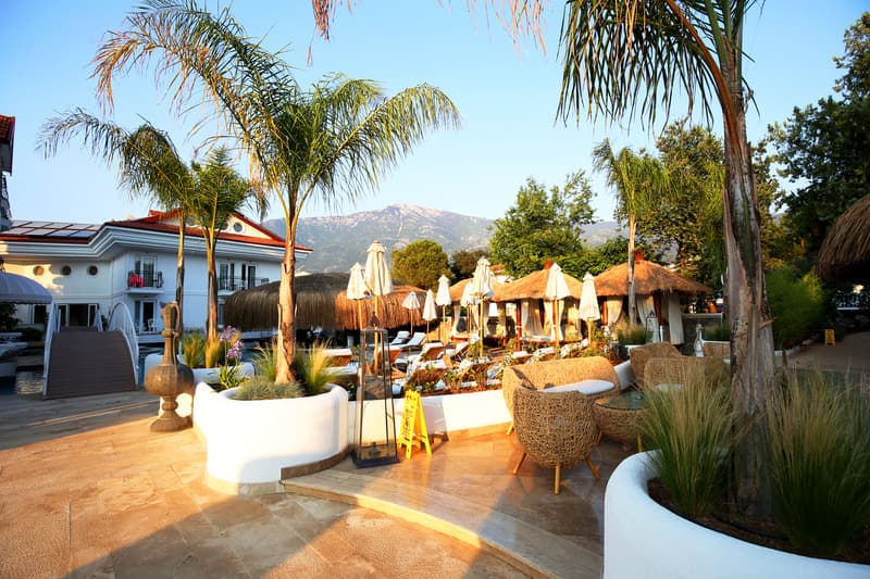 The Pine Hill Hotel & Suites 3