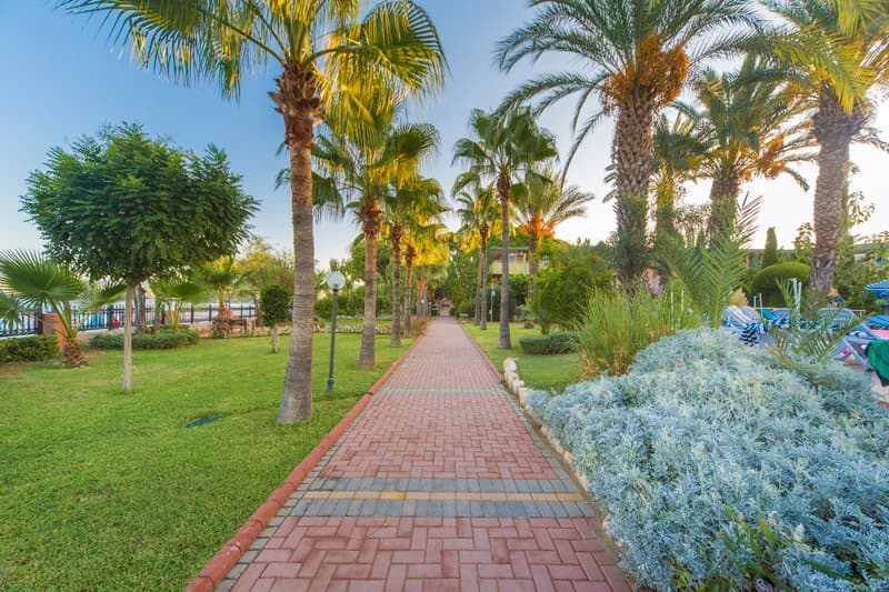 Lonicera World Hotel 4