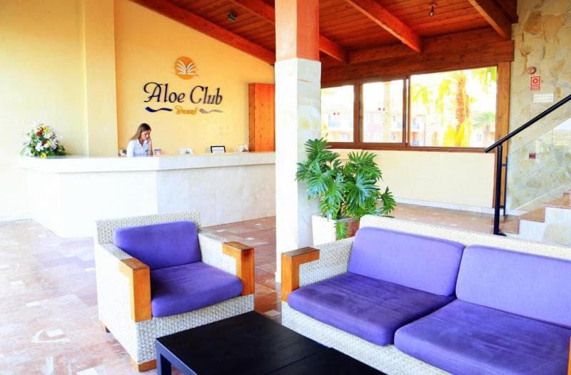 O7 Aloe Corralejo 3