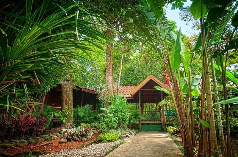Pachira Lodge main