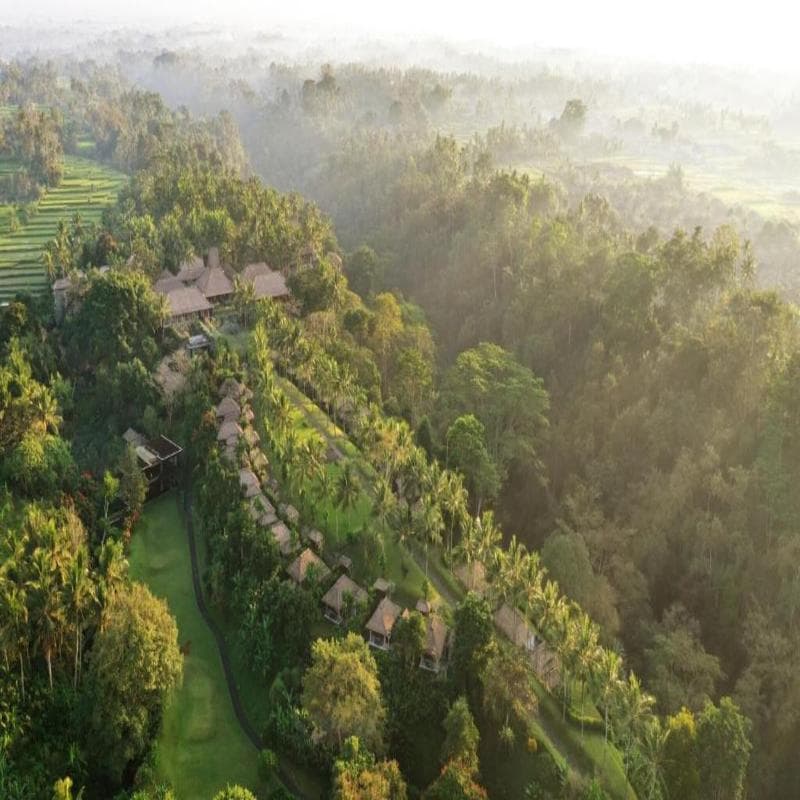 Maya Ubud Resort & Spa photo 1