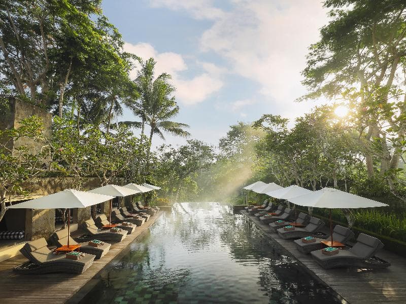 Maya Ubud Resort & Spa 5