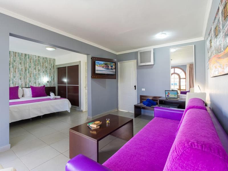 Suite Hotel Jardin Dorado 4