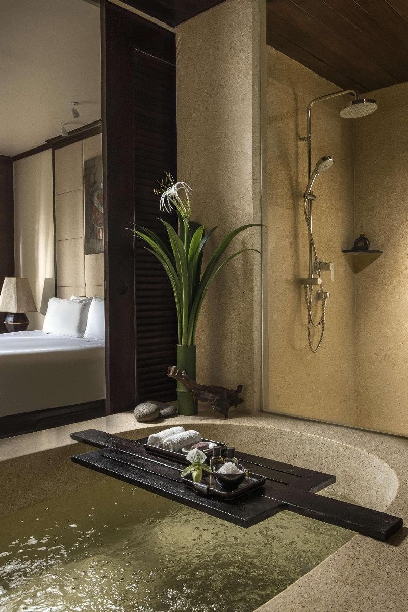 Anantara Golden Triangle Elephant Camp & Resort 3