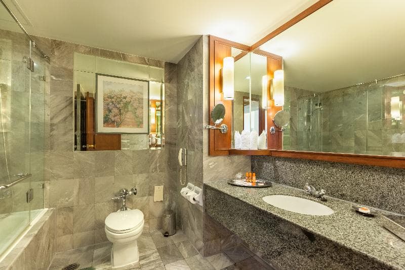 Rembrandt Hotel & Suites 3