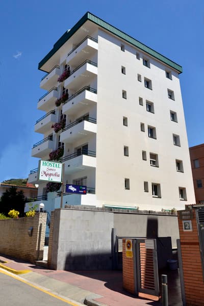 Hostal Magnolia 5