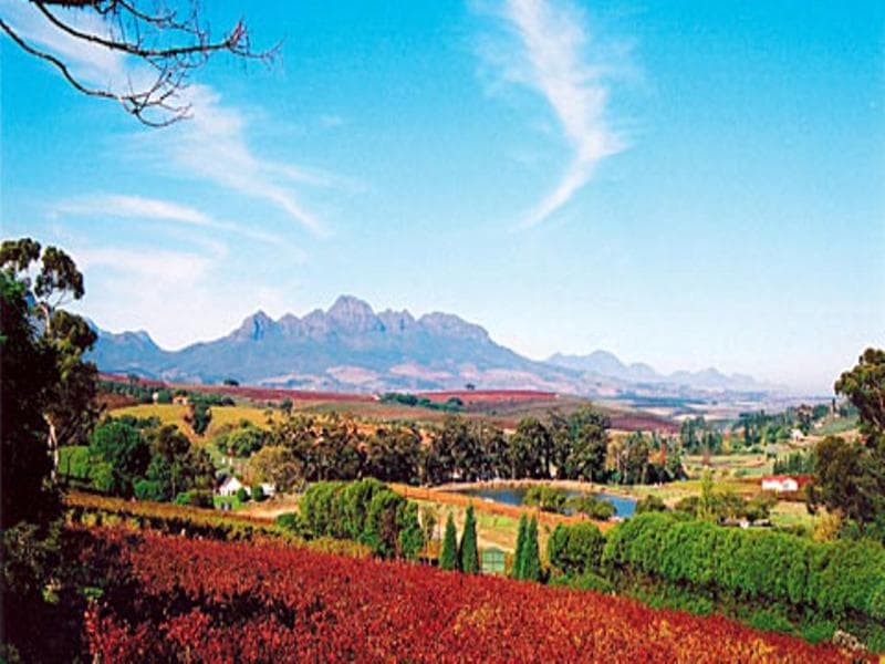 The Devon Valley Hotel 5