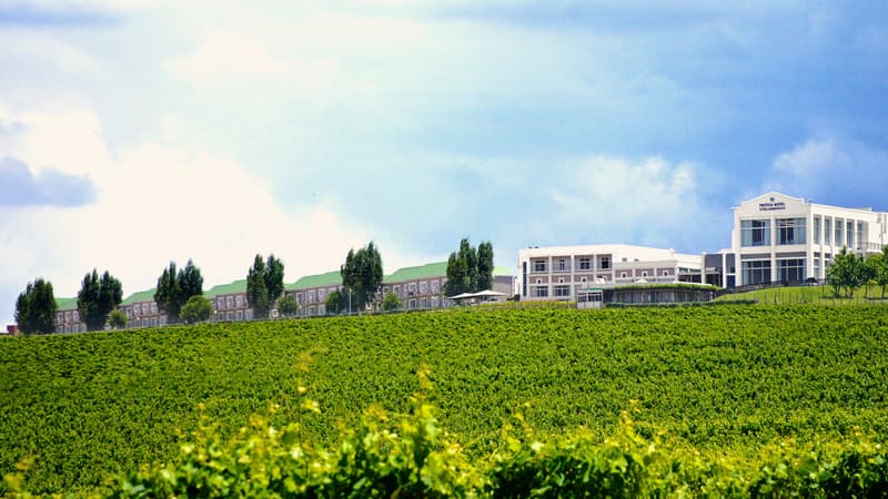Protea Hotel Stellenbosch 5