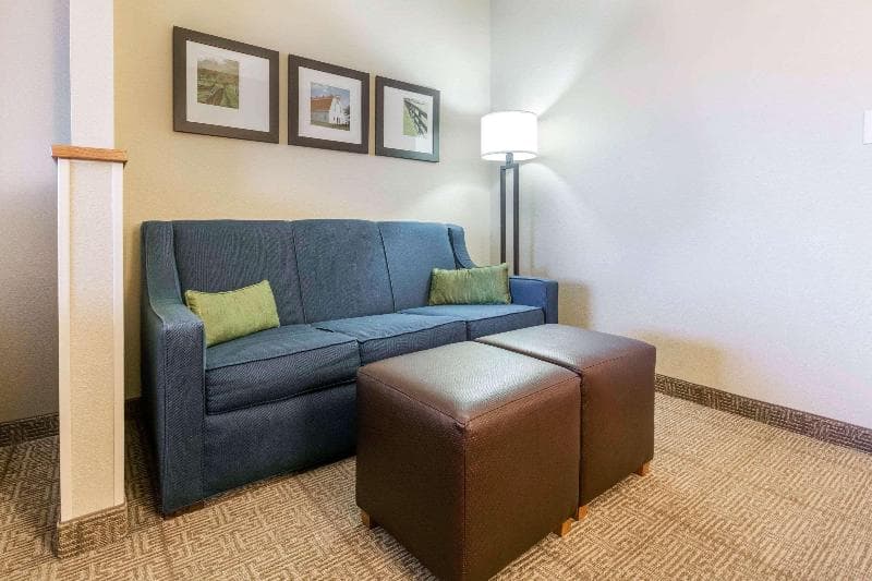 Comfort Suites 3