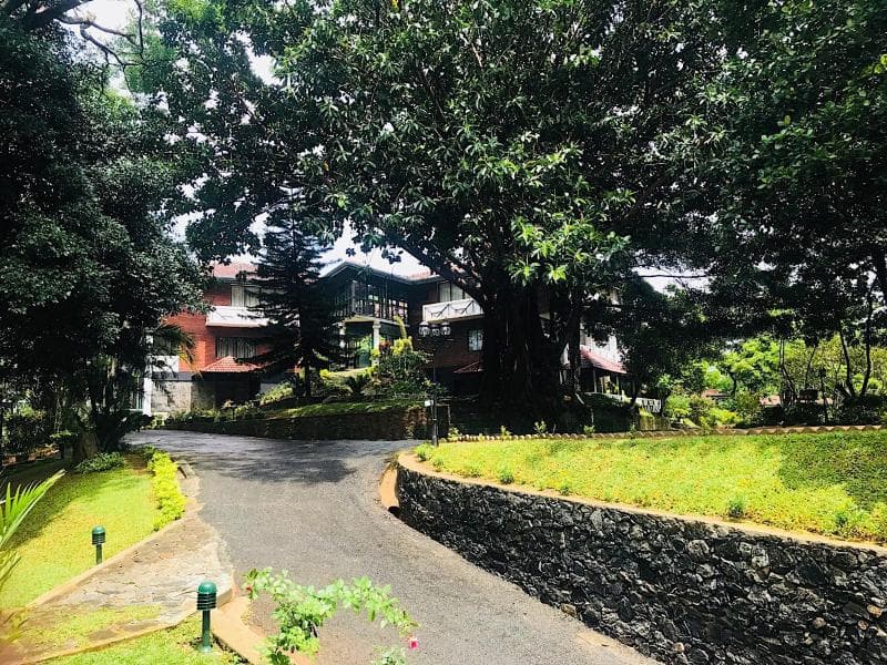 Tree Of Life Nature Resort 3