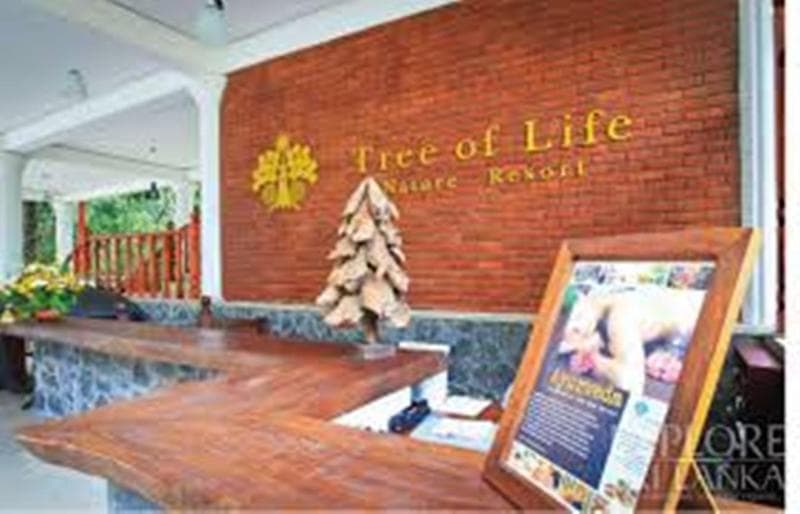 Tree Of Life Nature Resort 4