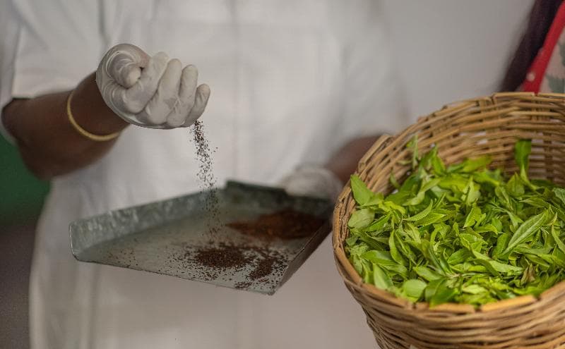Heritance Tea Factory - Adults Only 4