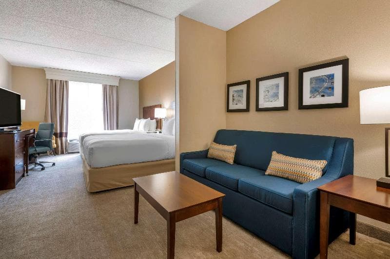 Comfort Suites Near Universal Orlando Resort 5