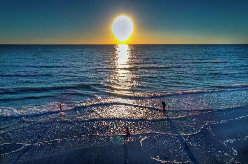 DoubleTree Beach Resort by Hilton Tampa Bay - North Redingto 4