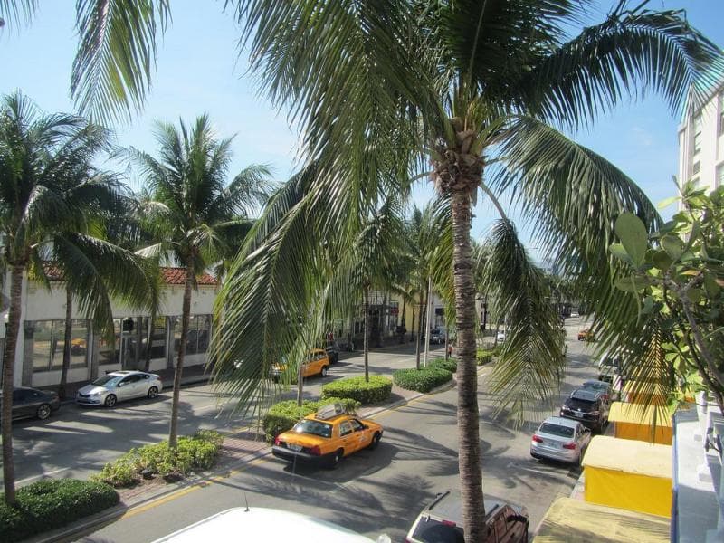 Royal South Beach photo 1