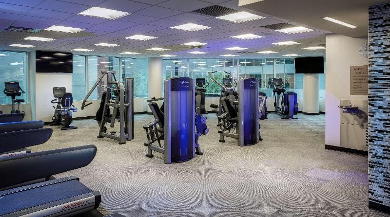 Hyatt Centric Chicago Magnificent Mile 2