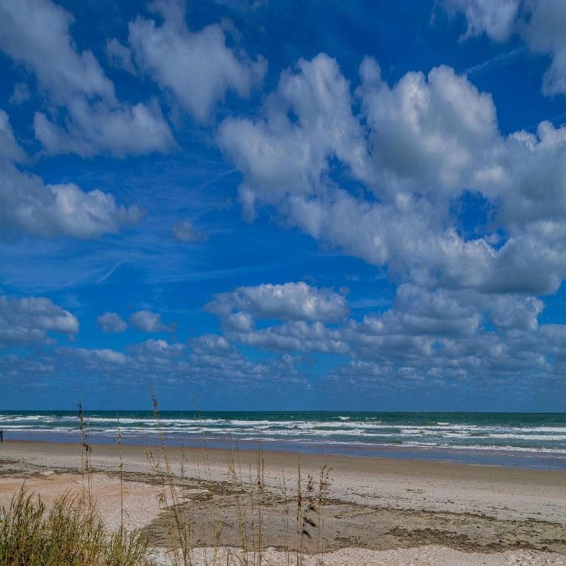 Hilton Vacation Club The Cove on Ormond Beach 3