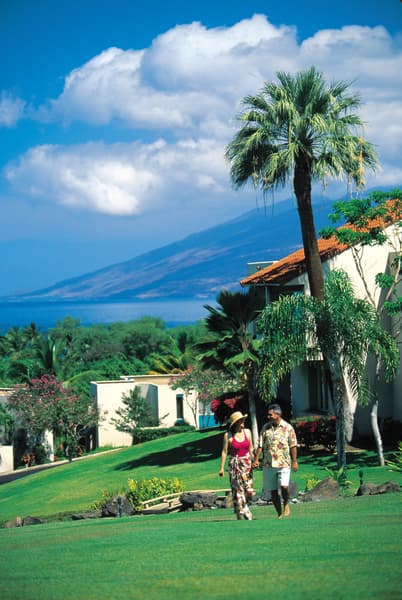 Palms At Wailea Maui 2