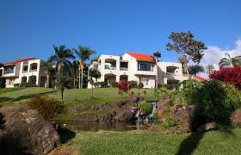 Palms At Wailea Maui 3