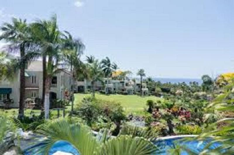 Palms At Wailea Maui 4