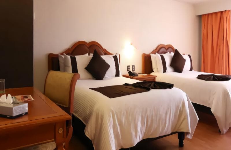 Hotel Mision Aguascalientes Zona Sur 5