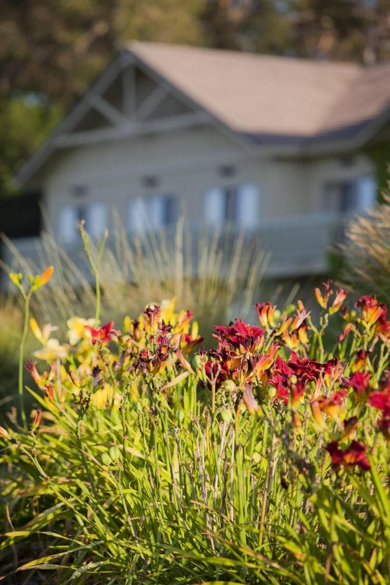 Temecula Creek Inn photo 1