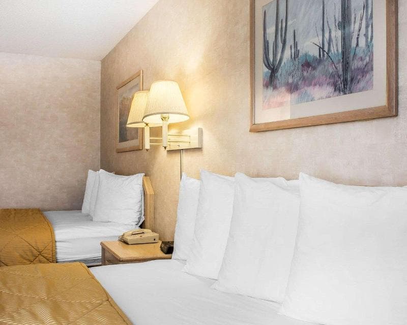 Quality Inn & Suites 5
