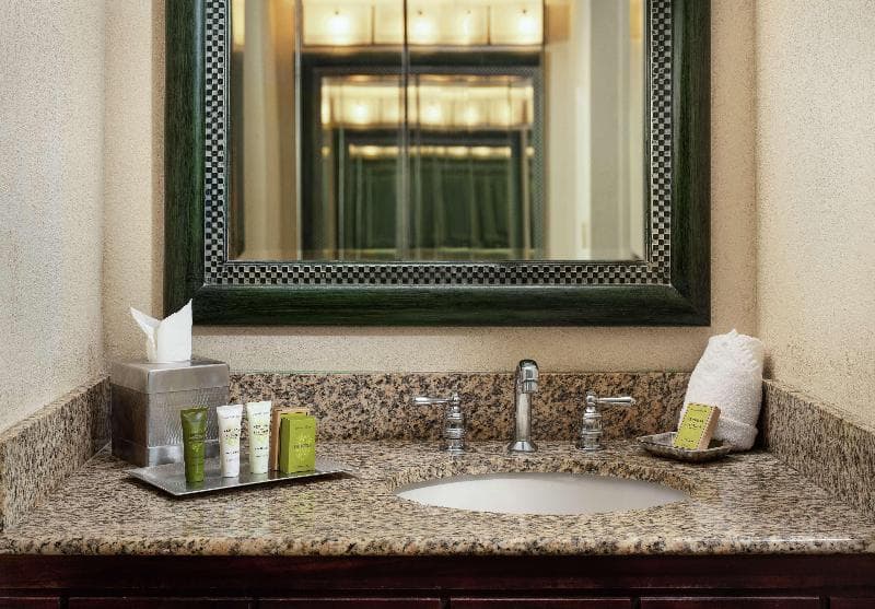 Hilton Orlando Lake Buena Vista - Disney Springs Area 3