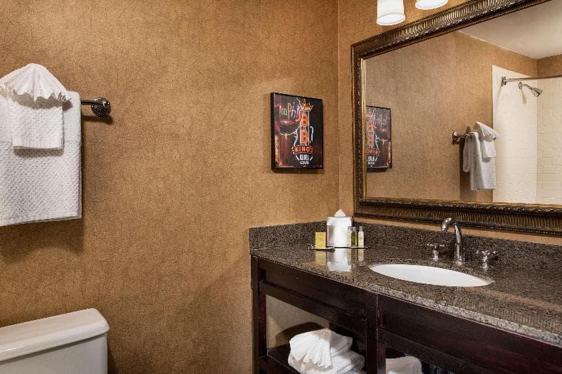 DoubleTree by Hilton Hotel Memphis Downtown 4