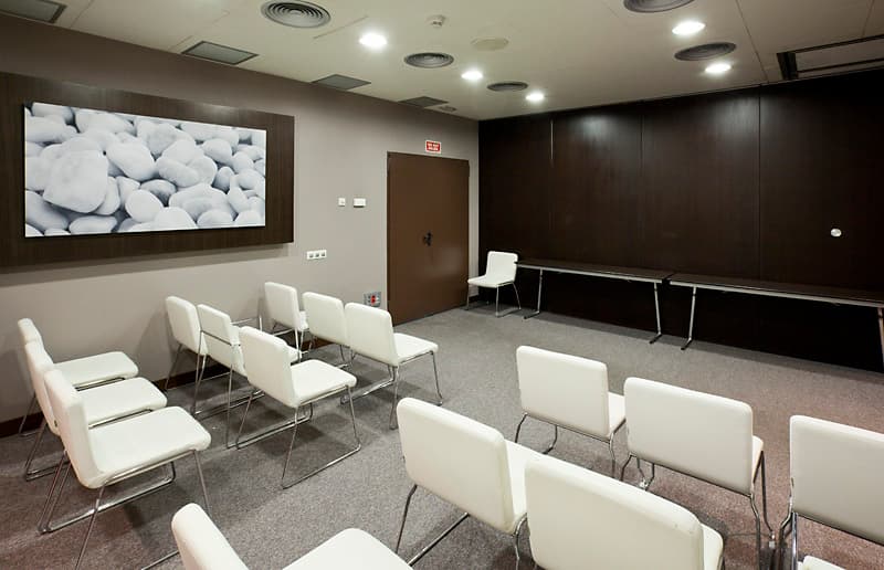 Ilunion Auditori 5