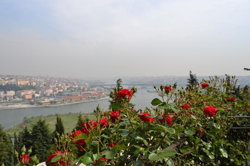 Turquhouse Boutique Hotel 4
