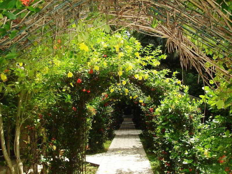 Chan-Kah Resort Village 3