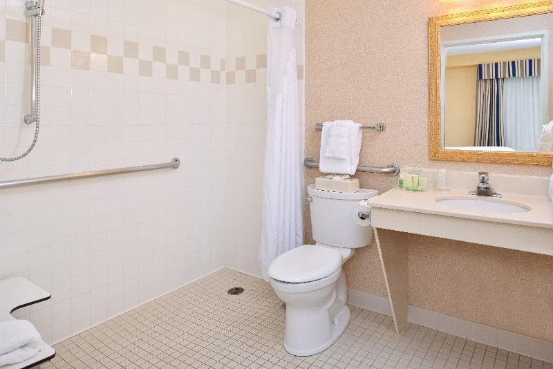 Holiday Inn and Suites Chicago Downtown 4