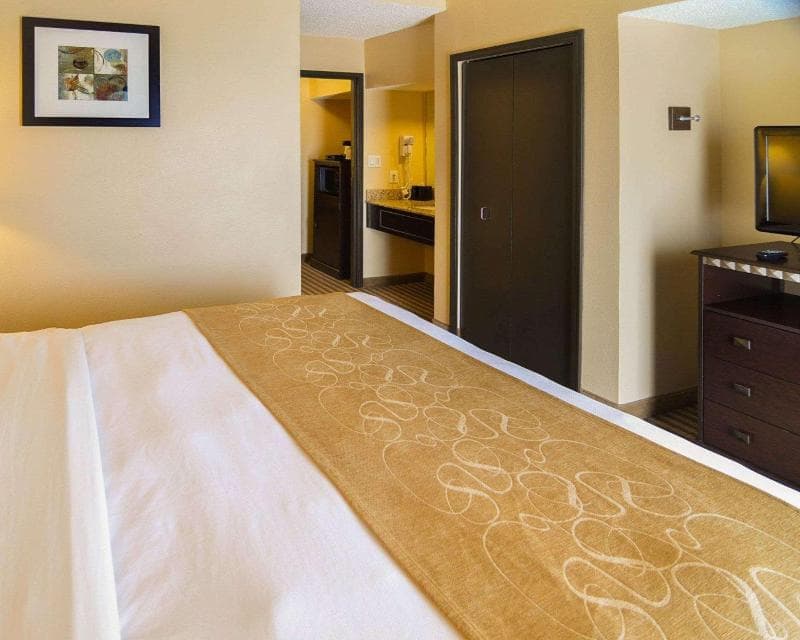 Comfort Suites Dfw Airport photo 1