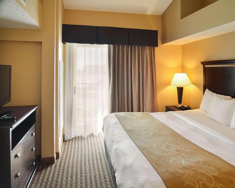 Comfort Suites Dfw Airport 3