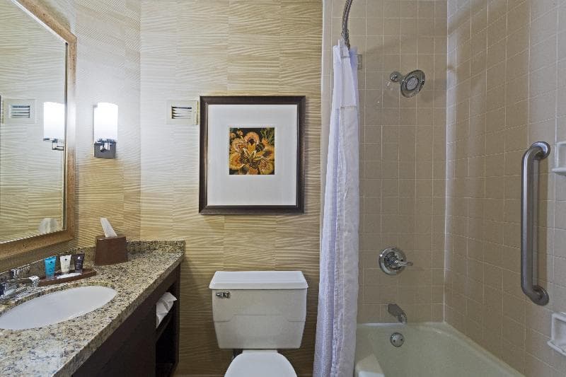 Crowne Plaza Jacksonville Airport/I-95N 4