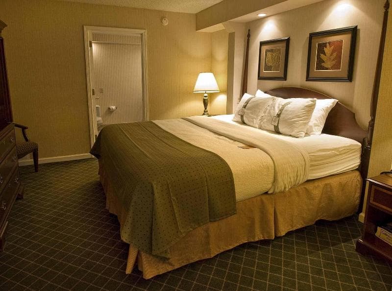 Buffalo Airport Hotel 3