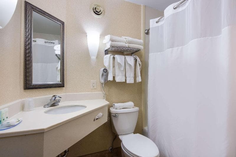 Holiday Inn Oneonta-Cooperstown Area 2