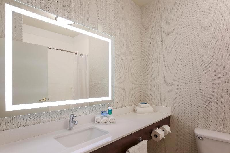 Holiday Inn Express Rochester NE - Irondequoit 4